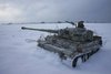 tiger-1-snow-3248111.jpg