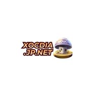 linkxocdiajpnet