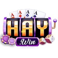 haywin1trade