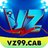 vz99cab